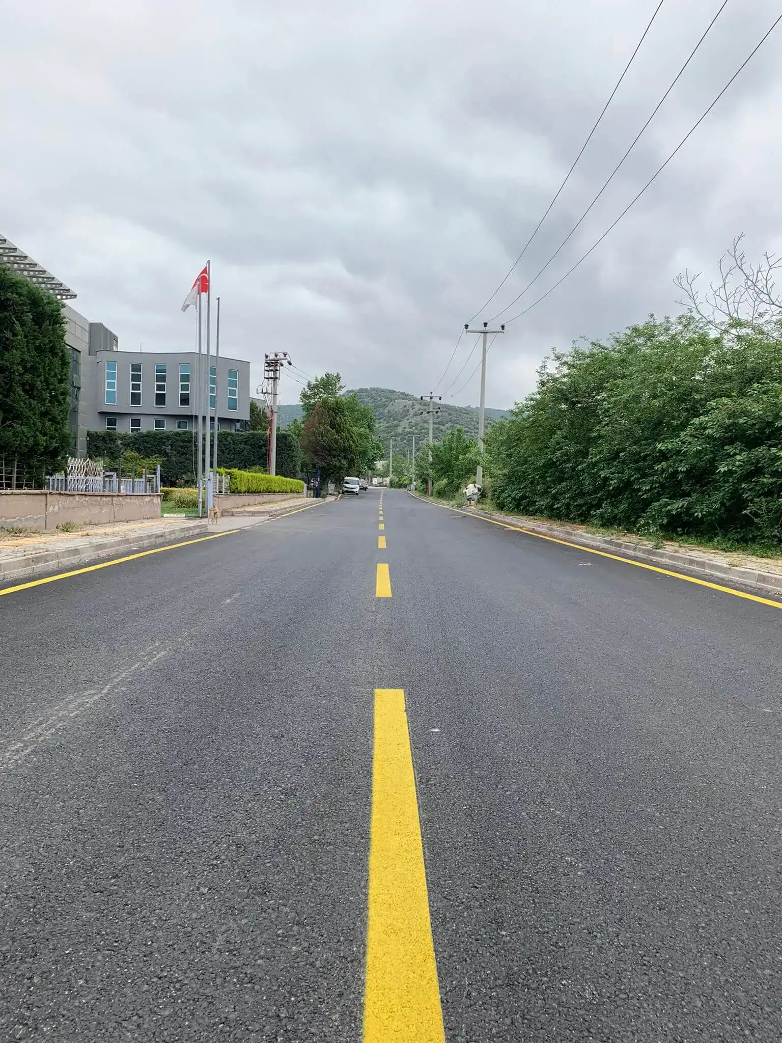 Tek Komponent Yol Çizgi Boyası